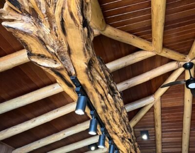 imagem da propriedade