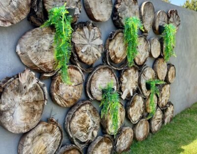 imagem da propriedade