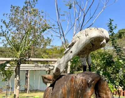 imagem da propriedade