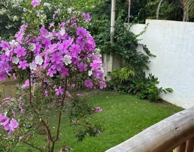 imagem da propriedade