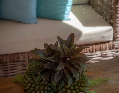 imagem da propriedade