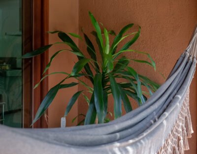 imagem da propriedade