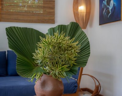 imagem da propriedade