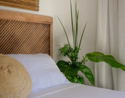 imagem da propriedade