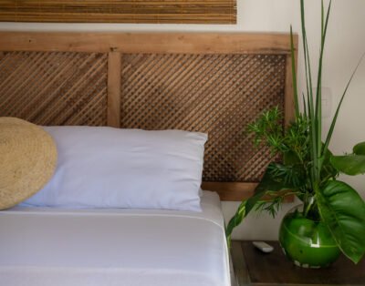 imagem da propriedade