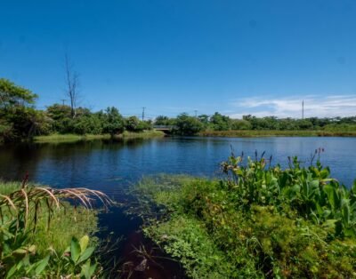 imagem da propriedade